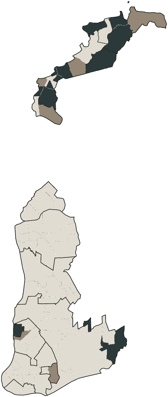 Mapa de Belém com o candidato a presidente mais votado em cada bairro, 2018