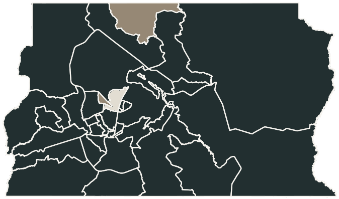 Mapa de Brasília com o partido mais votado em cada RA para Deputado federal, 2026