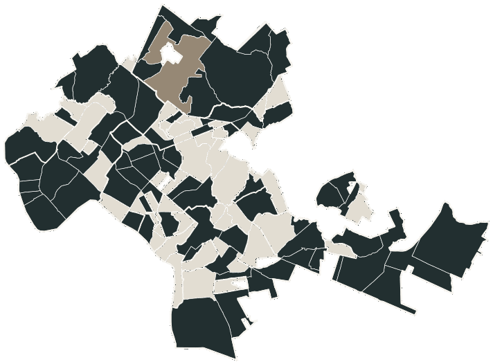 Mapa de Cuiabá com o candidato a presidente mais votado em cada bairro, 2018