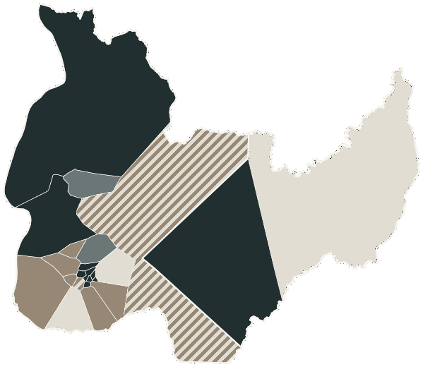 Mapa de Palmas com o partido mais votado em cada bairro para Deputado estadual, 2026