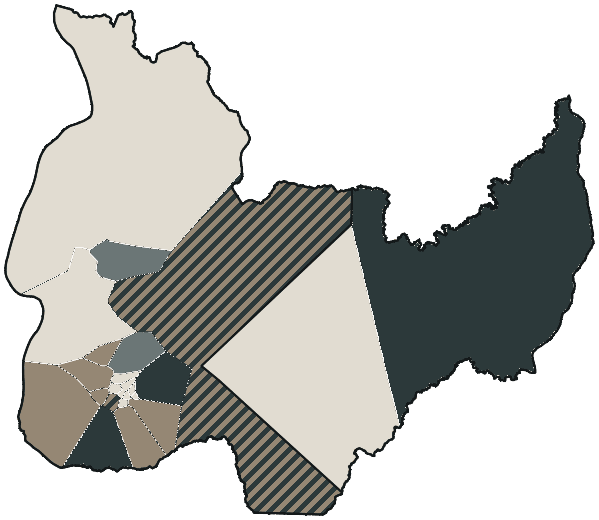 Mapa de Palmas com o partido mais votado em cada bairro para Deputado estadual, 2026