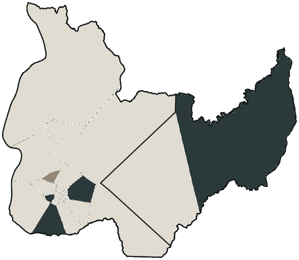 Mapa de Palmas com o partido mais votado em cada bairro para Deputado federal, 2026