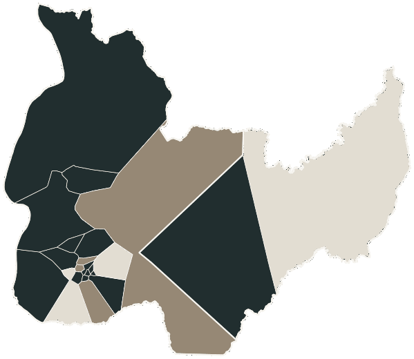 Mapa de Palmas com o partido mais votado em cada bairro para Governador, 2026