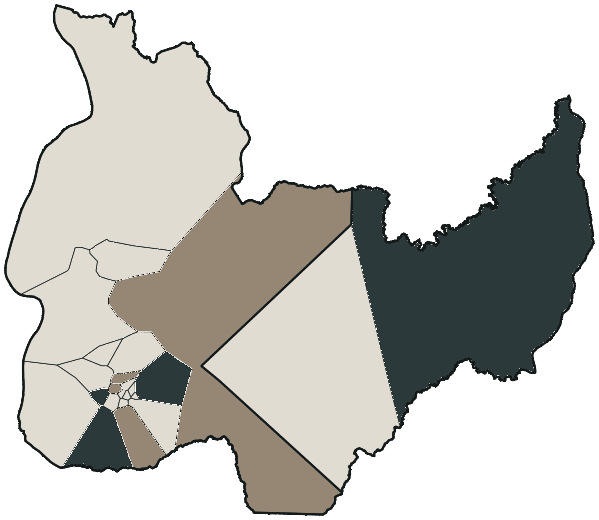 Mapa de Palmas com o partido mais votado em cada bairro para Governador, 2026