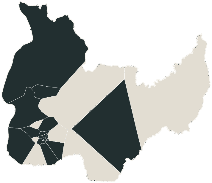 Mapa de Palmas com o candidato a presidente mais votado em cada bairro, 2018
