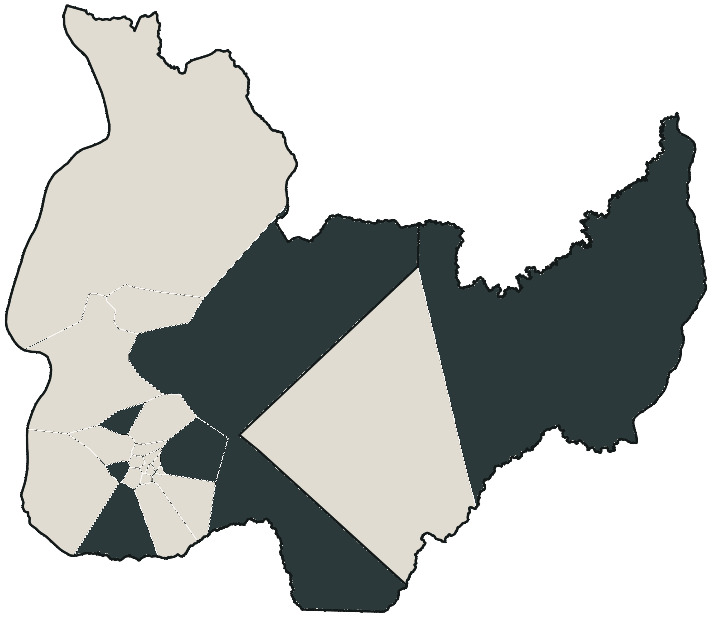 Mapa de Palmas com o candidato a presidente mais votado em cada bairro, 2018