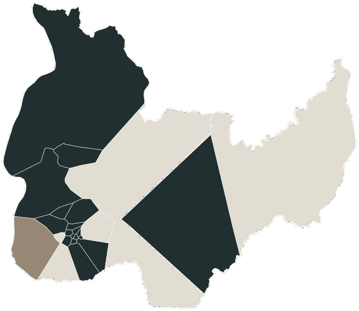Mapa de Palmas com o candidato a presidente mais votado em cada bairro, 2022