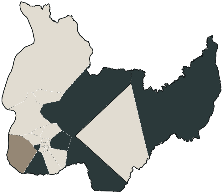 Mapa de Palmas com o candidato a presidente mais votado em cada bairro, 2022
