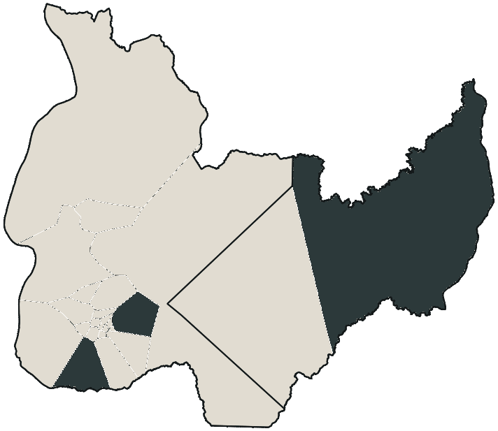 Mapa de Palmas com o candidato a presidente mais votado em cada bairro, 2026