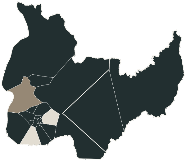 Mapa de Palmas com o partido mais votado em cada bairro para Senado (2 vagas), 2026