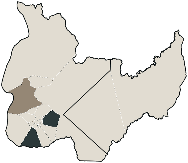 Mapa de Palmas com o partido mais votado em cada bairro para Senado (2 vagas), 2026