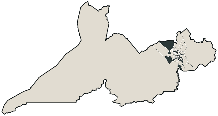 Mapa de Rio Branco com o candidato a presidente mais votado em cada bairro, 2022